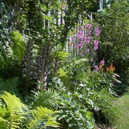 Antique Slumber Old Town Bed & Breakfast Niagara-on-the-Lake Екстер'єр фото