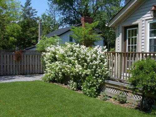 Antique Slumber Old Town Bed & Breakfast Niagara-on-the-Lake Екстер'єр фото